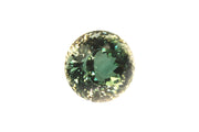 10 Carat Rare Green Oregon Sunstone