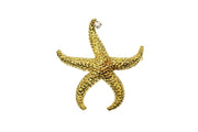 "Tiffany" Brand Diamond Starfish Pin